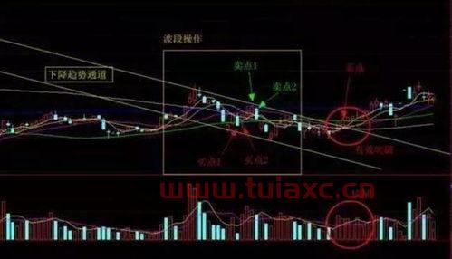 新手在股市中如何做到稳步盈利的