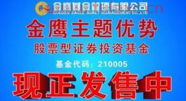 金鹰优选