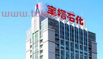 宝塔实业*消息
