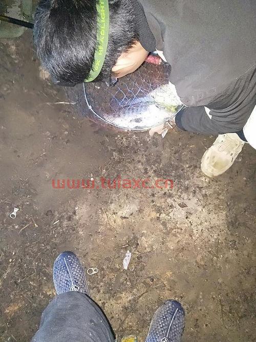 中稳沙场