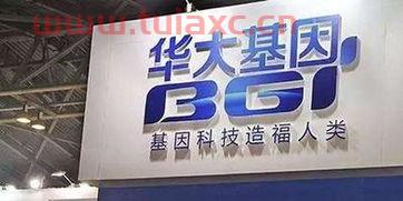 华大基因股票代码