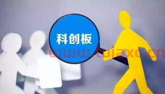 科创板都有哪些股票