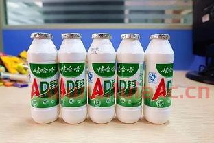 娃哈哈上市时间
