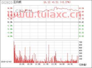 002623亚玛顿股吧