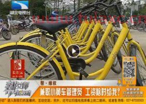 传ofo拖欠工资