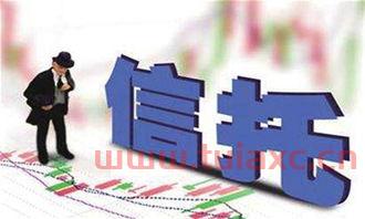 慈善信托是什么意思