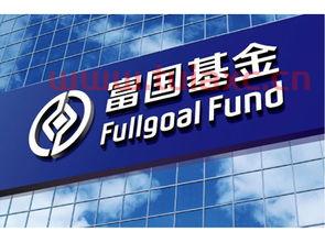 国富基金公司