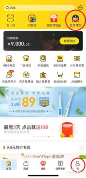 小黑鱼黑金会员