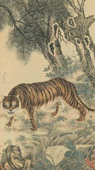 虎嗅网官网