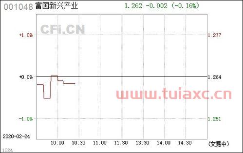富国新兴产业