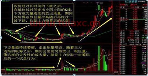 资金显示净流出却涨停