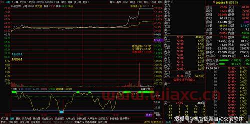资金显示净流出,但股价是上涨的,这是为什么呢