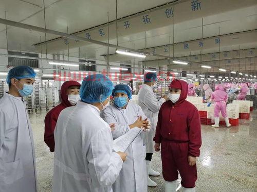 盘锦中储粮是什么单位