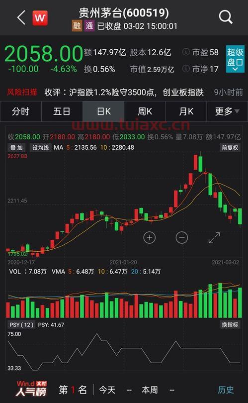 茅台跌入技术性熊市是什么意思