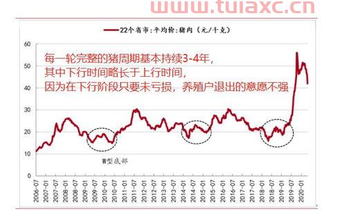 养猪的股票有哪些龙头