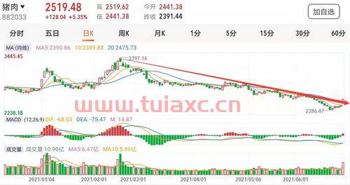 猪肉板块有望加速上扬吗