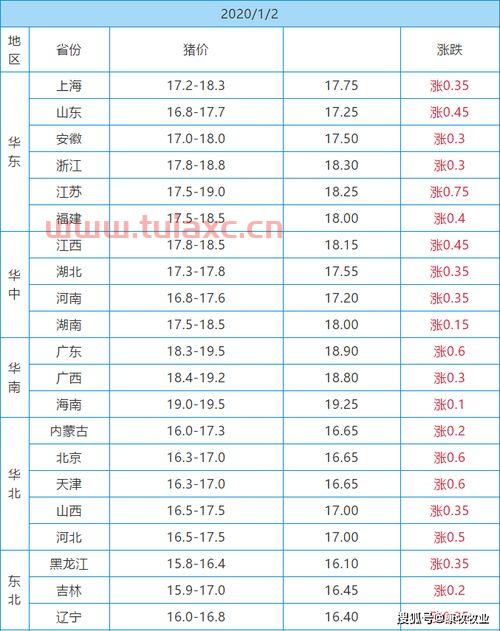 元旦过后猪价暴涨