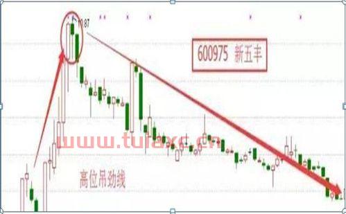 中国最牛的散户是谁啊