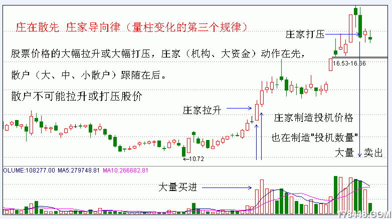 在股市中作为牛散,应该遵循哪些规则呢为什么