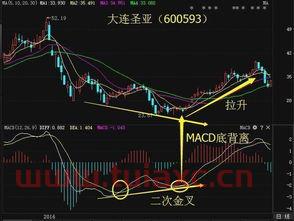 股市里多久能成为大牛散户