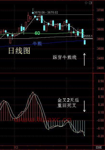 大盘反弹买什么股票好