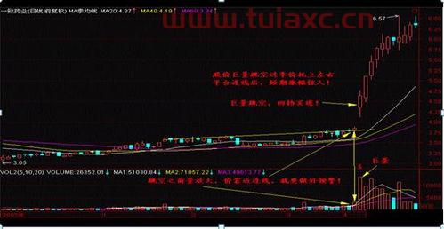 炒股成功的人到底有多可怕