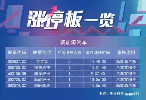 300336新文化股吧