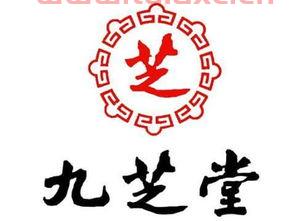 九芝堂股票