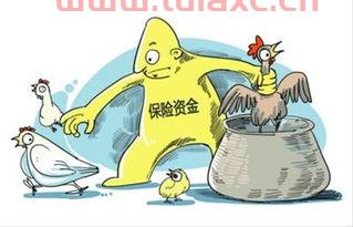 保险资金委托投资管理暂行办法
