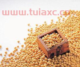 大豆行情网*网站