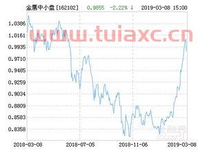 金鹰中小盘基金