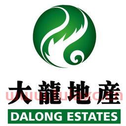 大龙地产