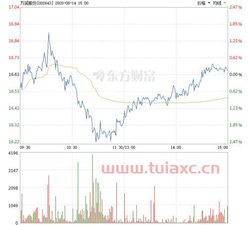 万润股份股票行情