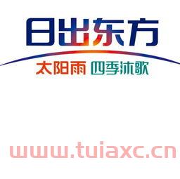日出东方控股股份有限公司