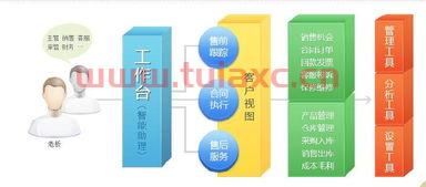 企业维生素