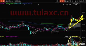 创业黑马股票股吧