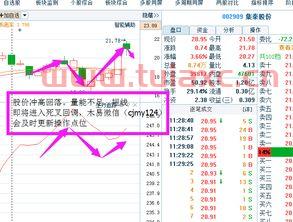 002909股吧