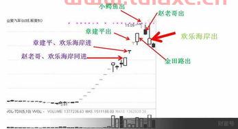 欢乐海岸席位