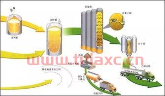 生物燃料