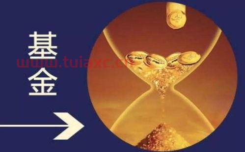 基金大全