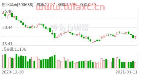 创业黑马股吧