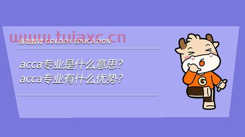 专业是什么意思