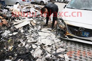 小区垃圾堆爆炸