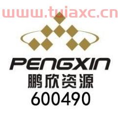 鹏欣资源*股吧