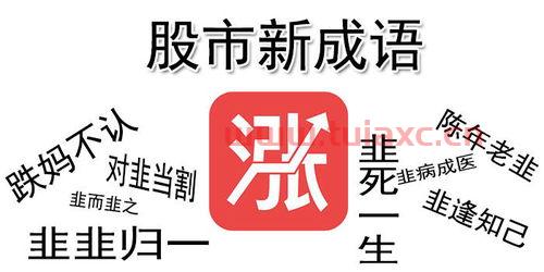 xd什么意思股市用的词