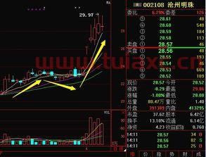 沧州明珠股票为什么跌得厉害