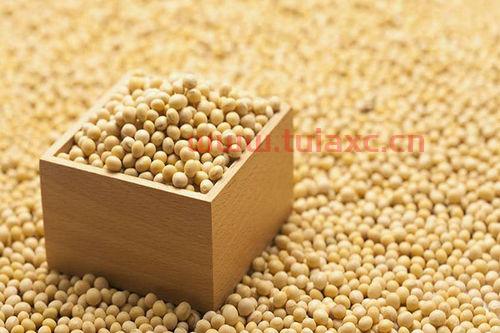 美国大豆期货*消息