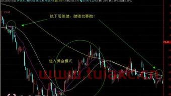 600990股票行情