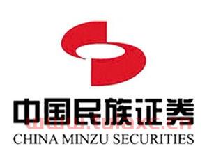 中国民族证券