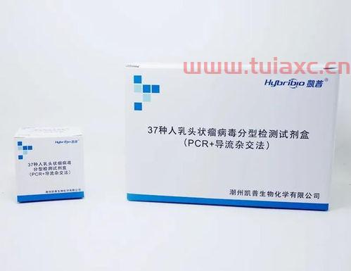 300639凯普生物